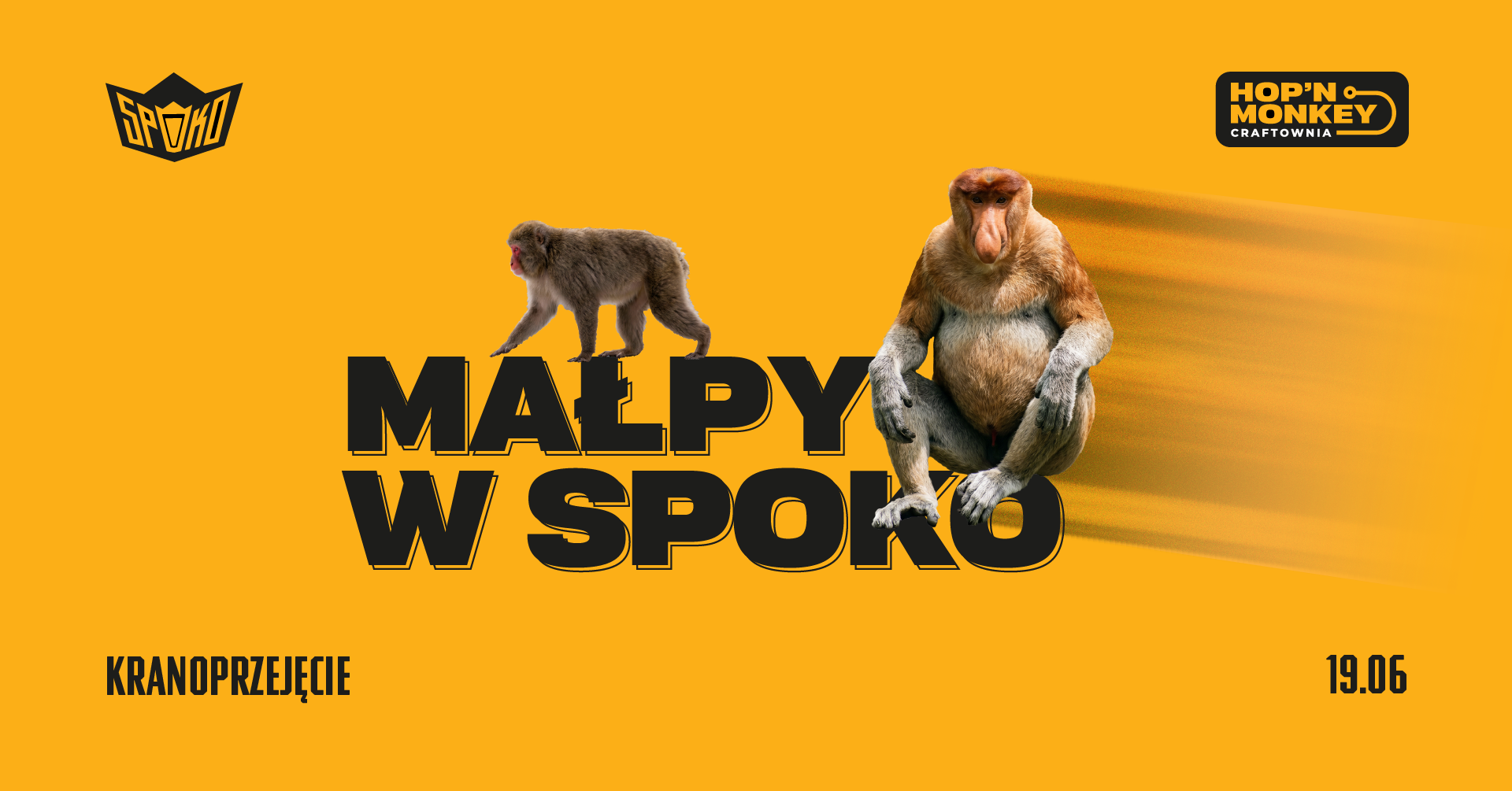 MAŁPY w SPOKO - kranoprzejęcie